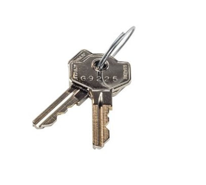 LiftMaster 041ASWG-0119 Keys LA400 LA500 | Canada Fast Shpping